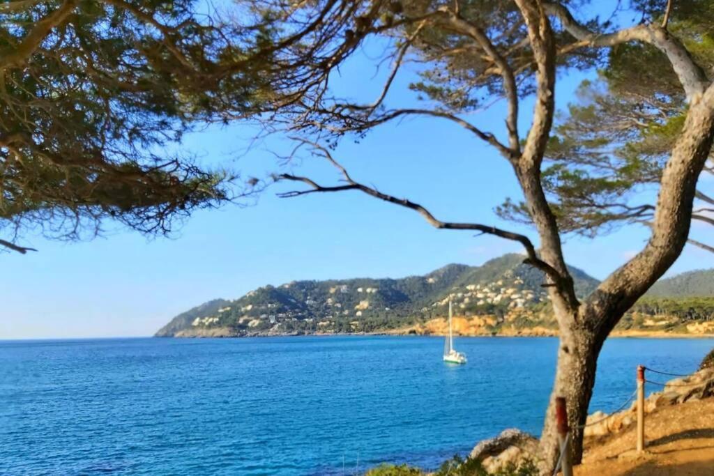 Aptment 4A Sa Calobra With Pool & Terrace Canyamel 카프데페라 외부 사진